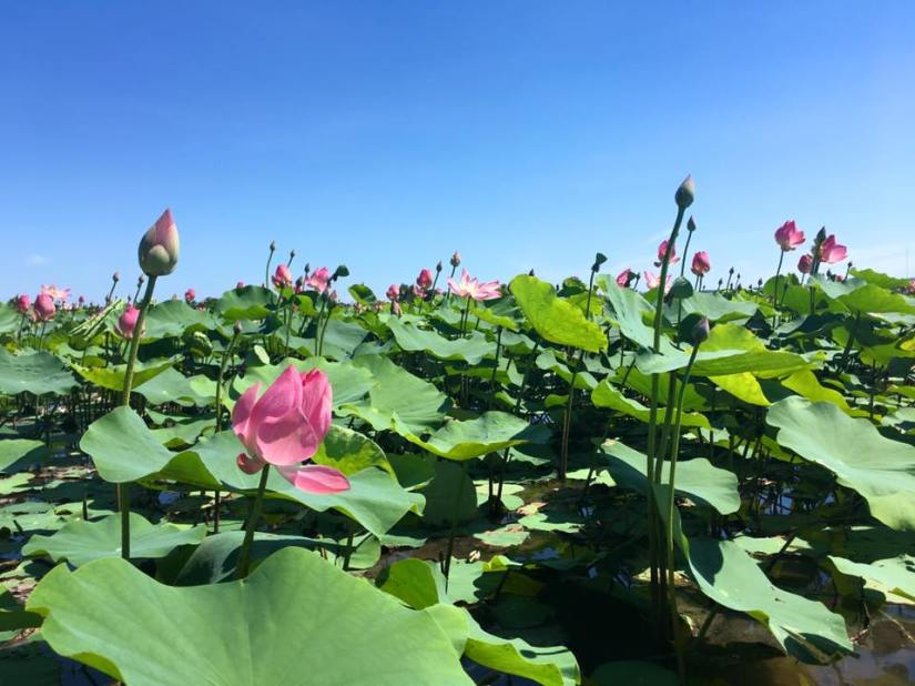 15232195_193998474392060_6970946233863884428_n