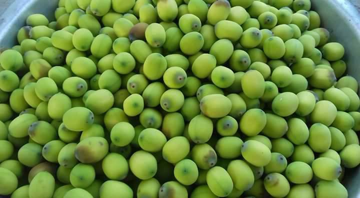 18010057_272339606557946_1958291344678800954_n