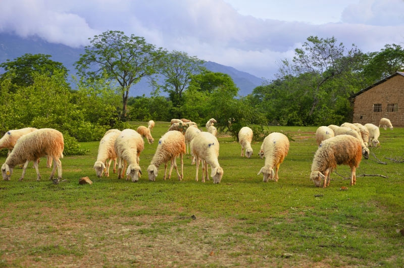 R47mAZ-20161022-viet-bai-moi