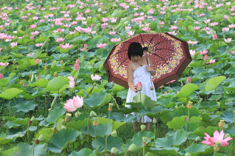 21950173_885273598298494_1263215889199889744_o