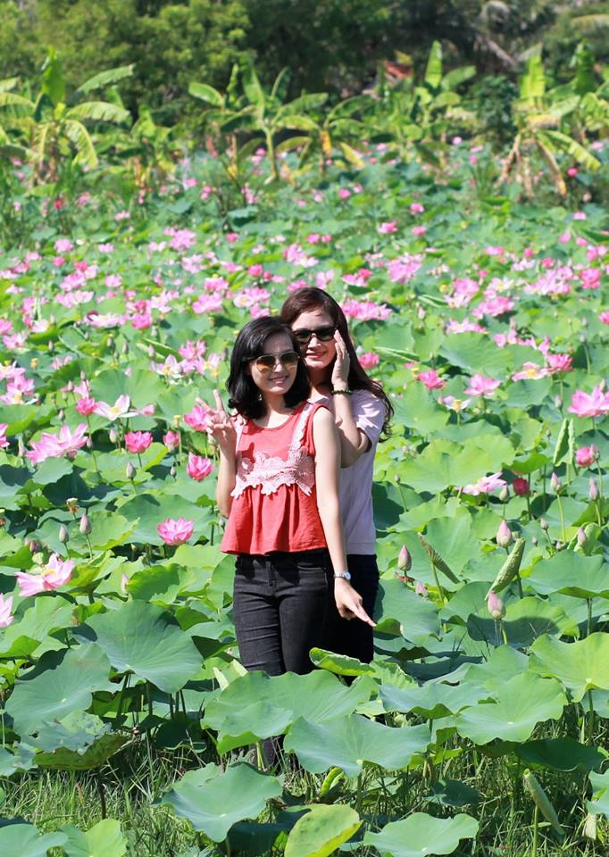 22045777_885744298251424_4588875653890918451_n