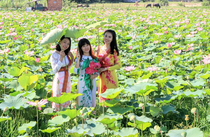 22339340_893079134184607_1707773806140383463_o