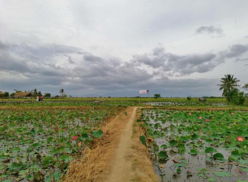 25594075_375435356248370_3078943272456687263_n