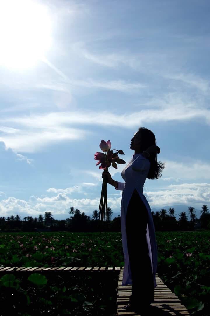 Ngất ngây với hương sen và nắng chiều 