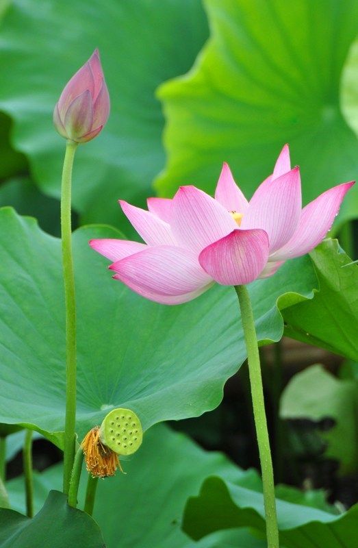 985686c86891a7c2ab49905d82869eda