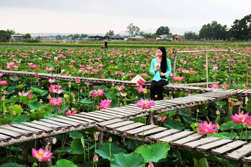 30707056_1743030542448360_3920681683795312640_o