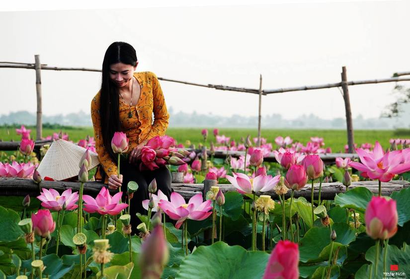 30711165_1743030519115029_9020546157671088128_o