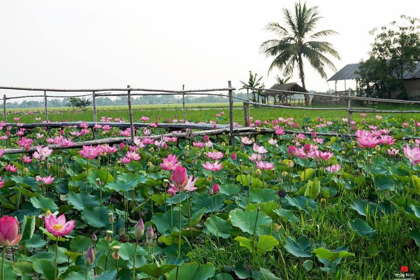 30727589_1743030549115026_4797043741632233472_o